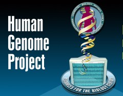 Progetto genoma umano, 950 MLD di $ di guadagni: quando la ricerca paga